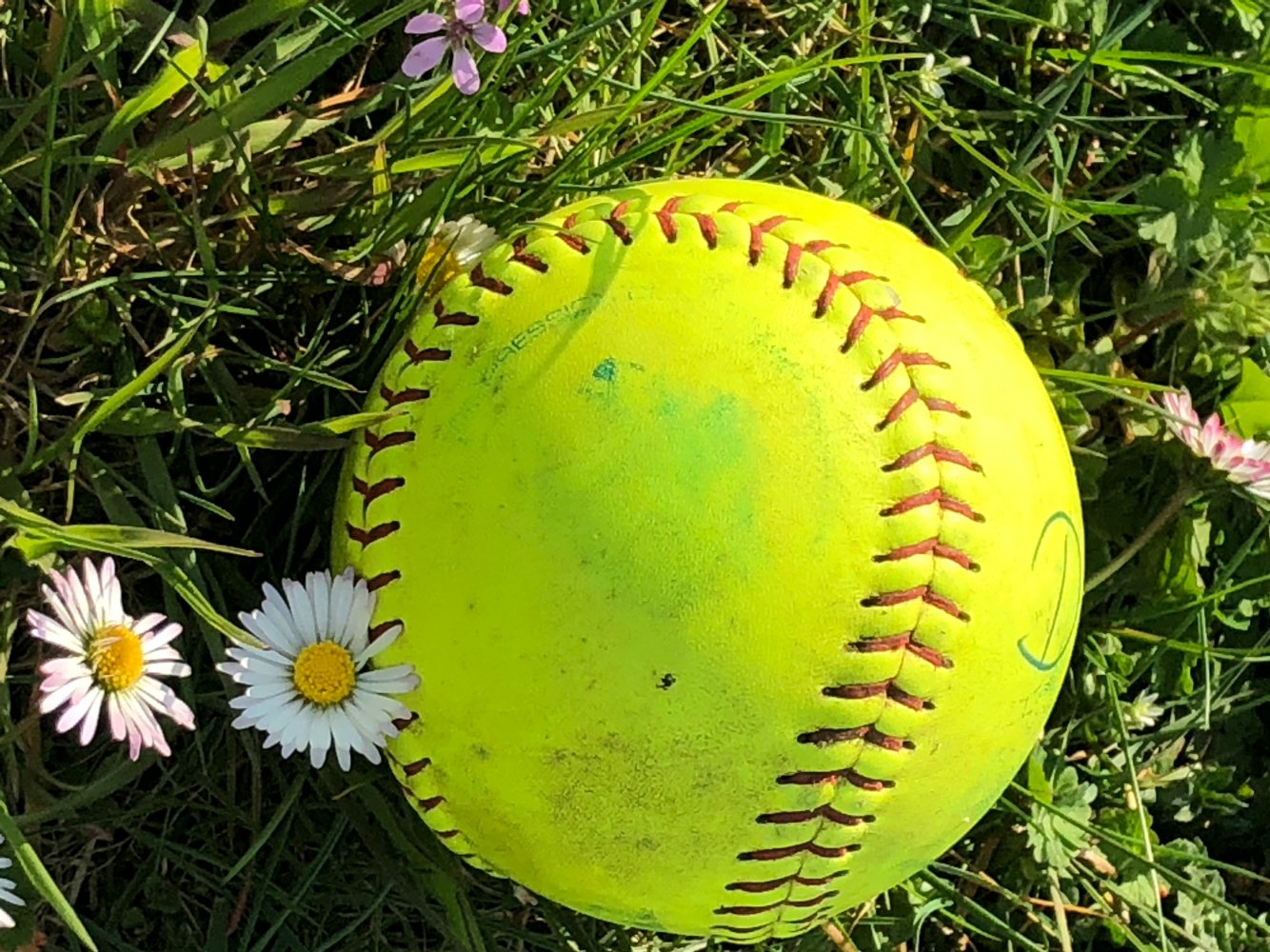 Spiel- und Trainingsbetrieb ruht weiter